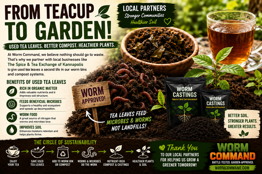 From Teacup to Garden: How Used Tea Leaves Create Amazing Compost and Healthier Soil