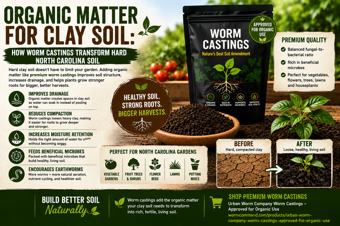 Organic Matter for Clay Soil: How Premium Worm Castings Transform Hard North Carolina Soil