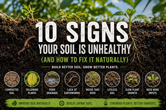 10 Signs Your Soil Is Unhealthy (And How to Fix It Naturally)