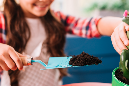 Beginner’s Guide to Vermiculture