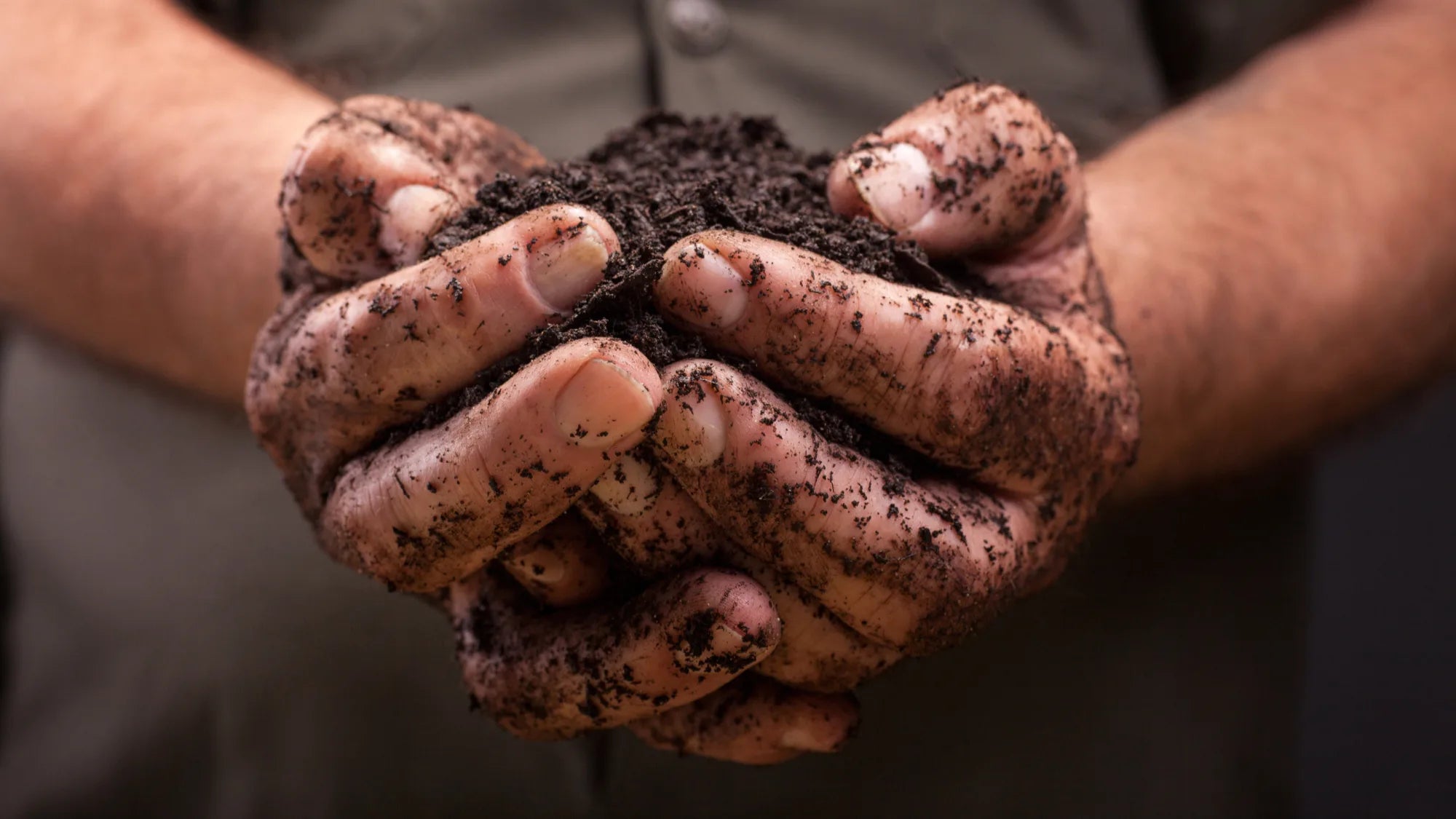 Earthworm castings background