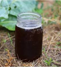 Worm Tea – Liquid Soil Microbial Booster