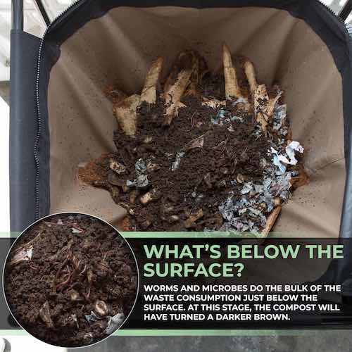 Inside the Urban Worm Bag Version 2 showing composting worms, food scraps, and microbes breaking down organic waste into nutrient-rich worm castings.