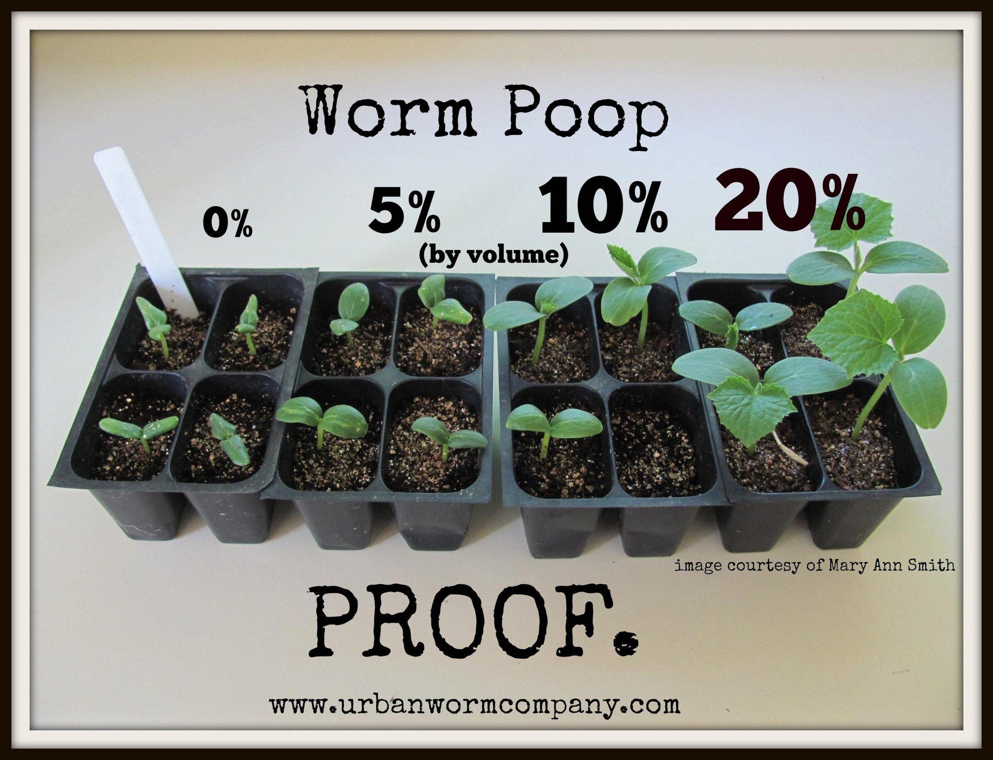 Seedling growth comparison showing plants grown with 0%, 5%, 10%, and 20% worm castings, demonstrating improved plant growth with higher worm castings content.